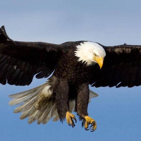 Eagles Land Apartment เอดินบะระ ภายนอก รูปภาพ