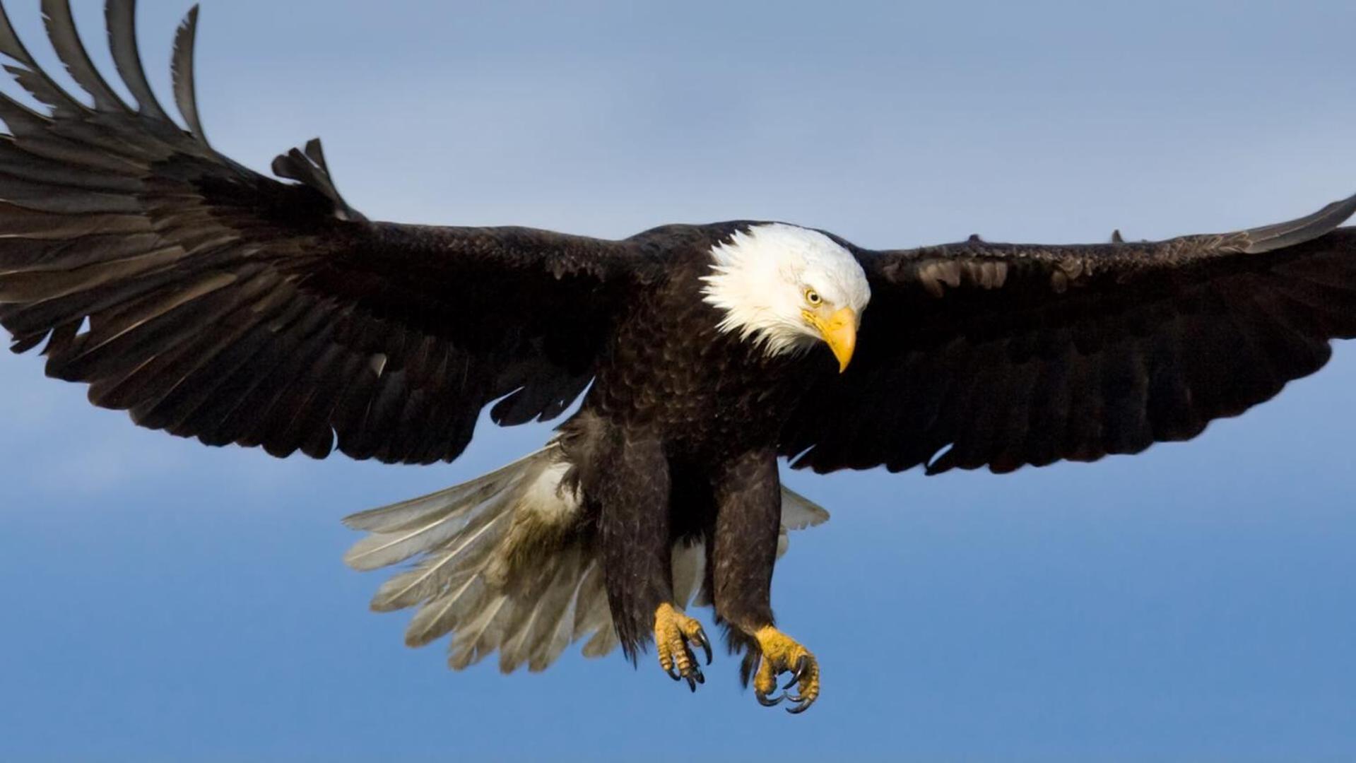 Eagles Land Apartment เอดินบะระ ภายนอก รูปภาพ